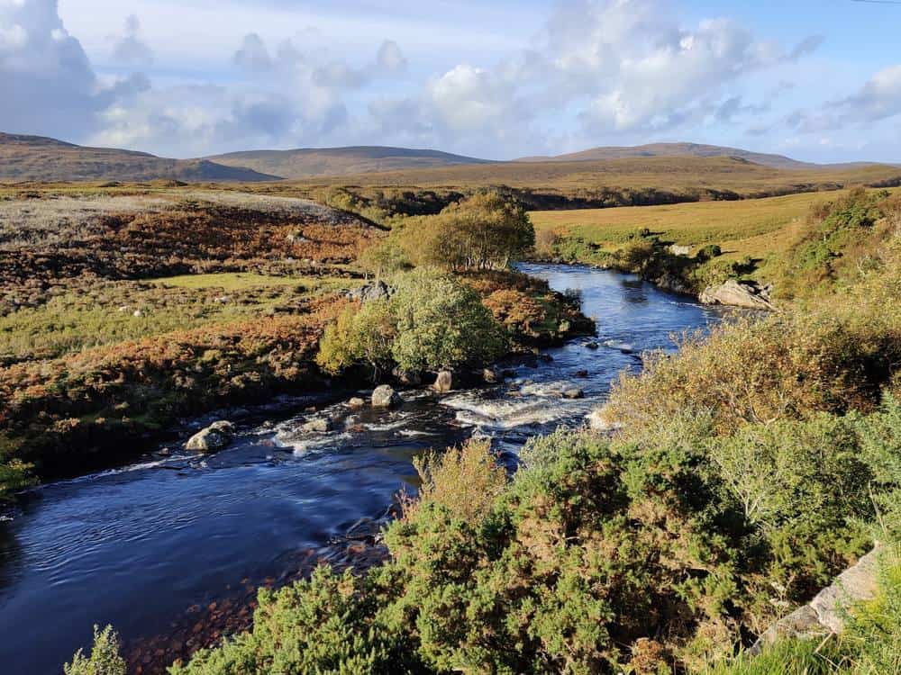 River Dionard Salmon Fishing