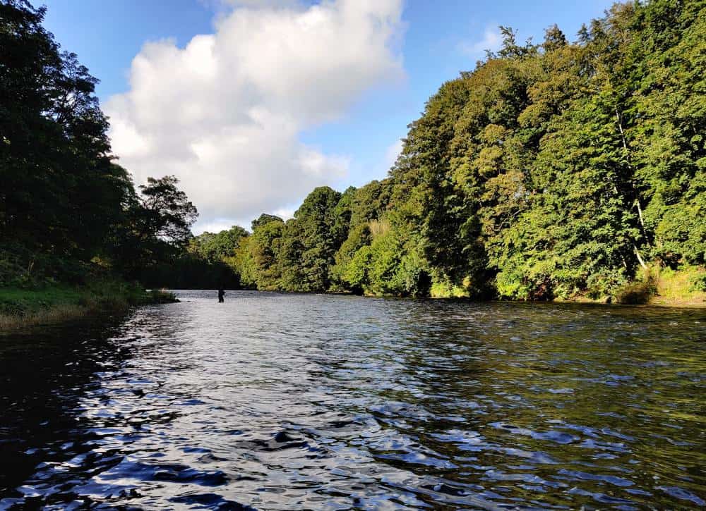 Border Esk Salmon Fishing