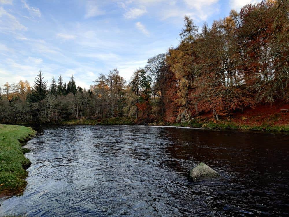 River Spey Salmon Fishing