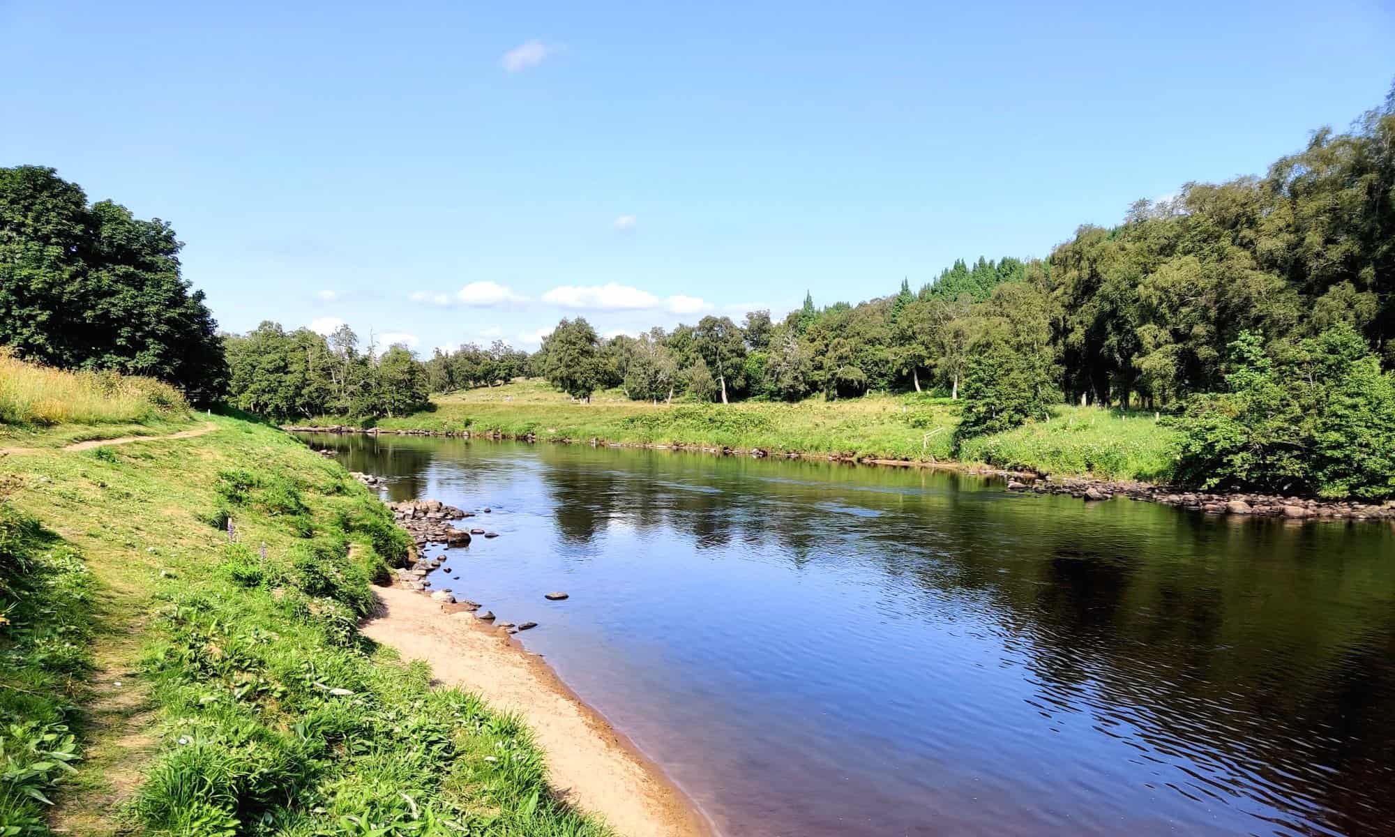 Central Scotland Salmon Fishing