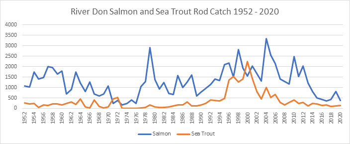 River Don Salmon Catches