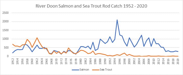 Salmon Catches on the River Doon