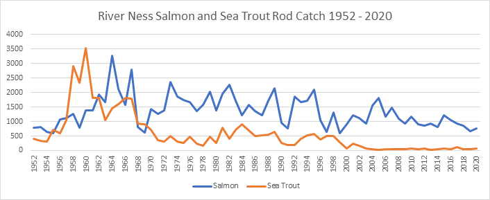 River Ness Salmon Rod Catch