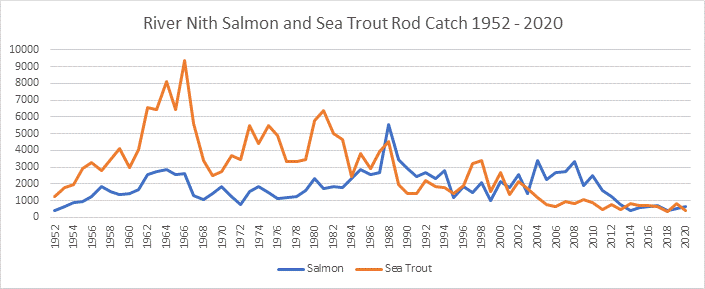 River Nith Salmon Catches