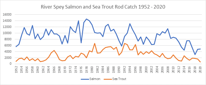 River Spey Salmon Catches