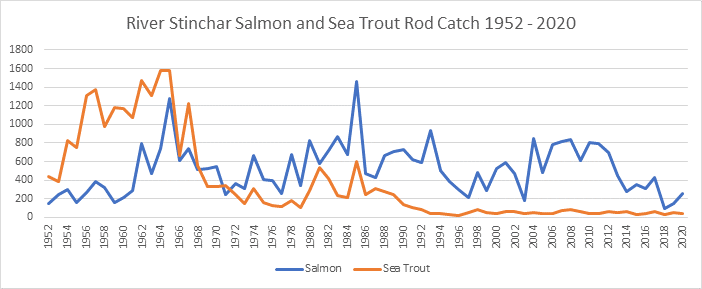 River Stinchar salmon catches