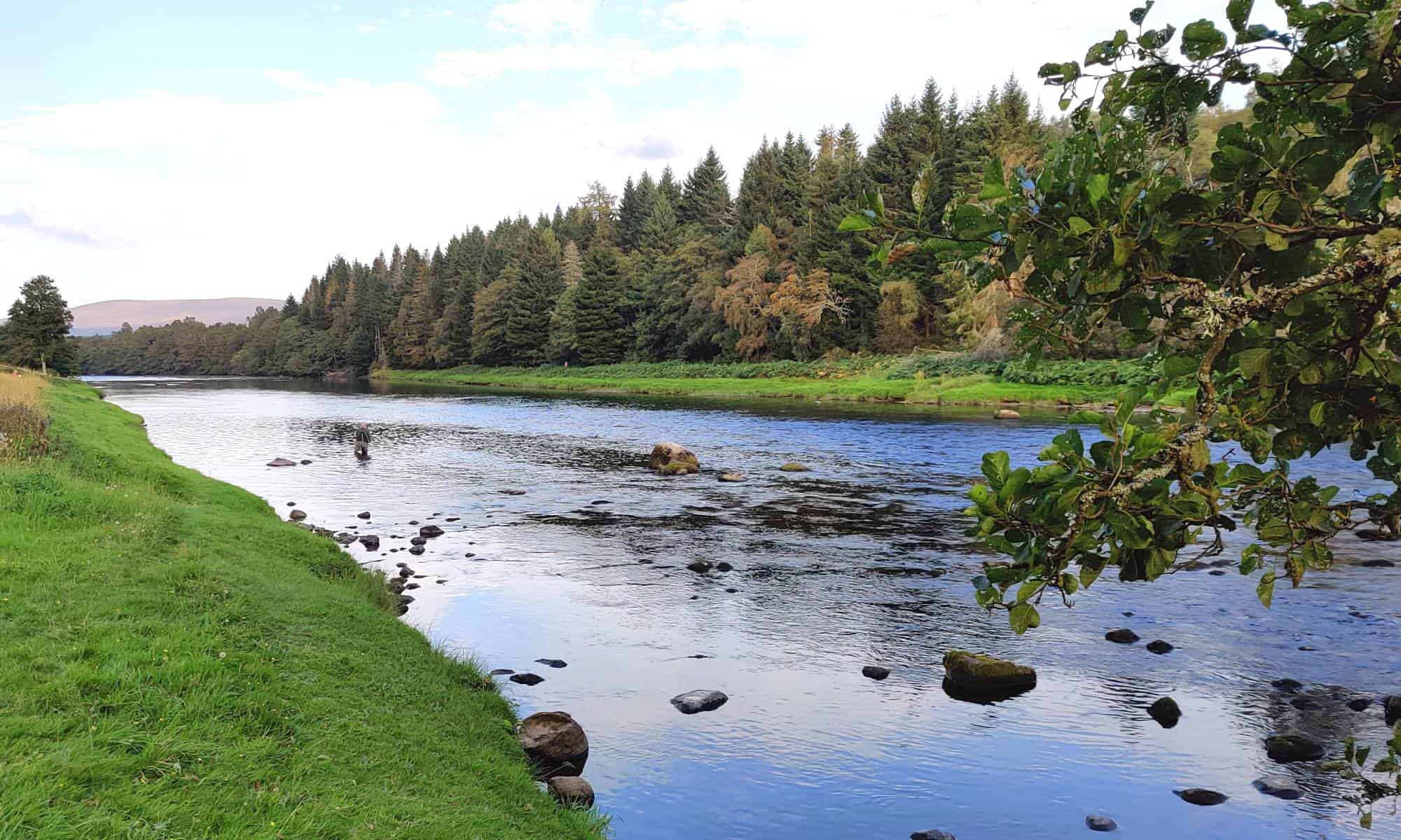 Salmon Fishing in Scotland