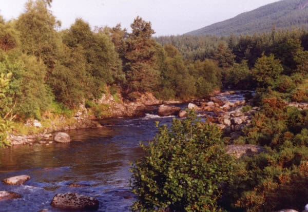 River Alness Salmon Fishing