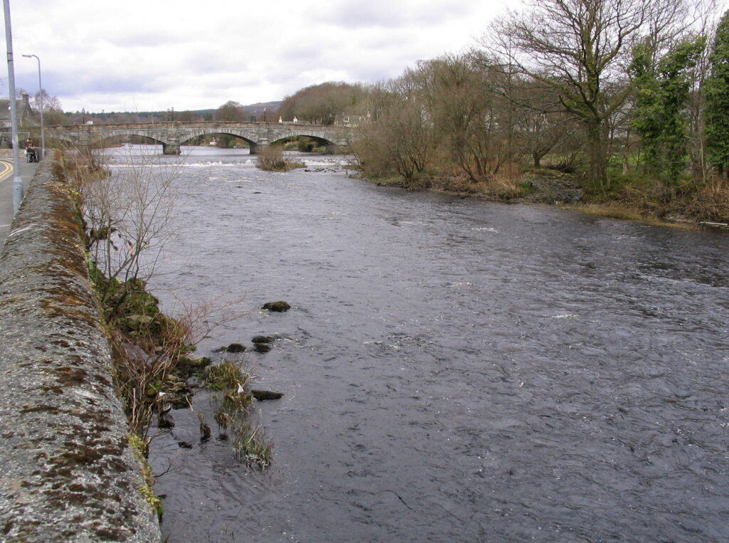 River Cree Salmon Fishing