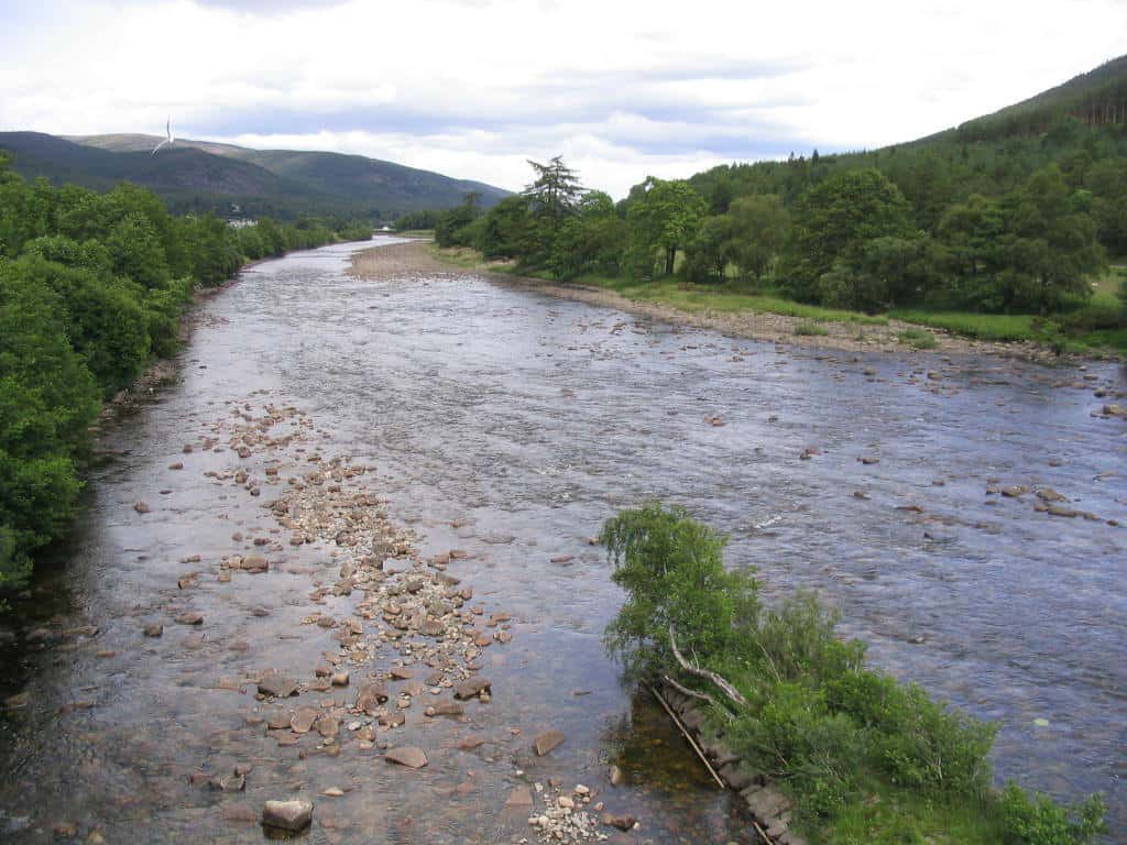 River Dee Salmon Fishing