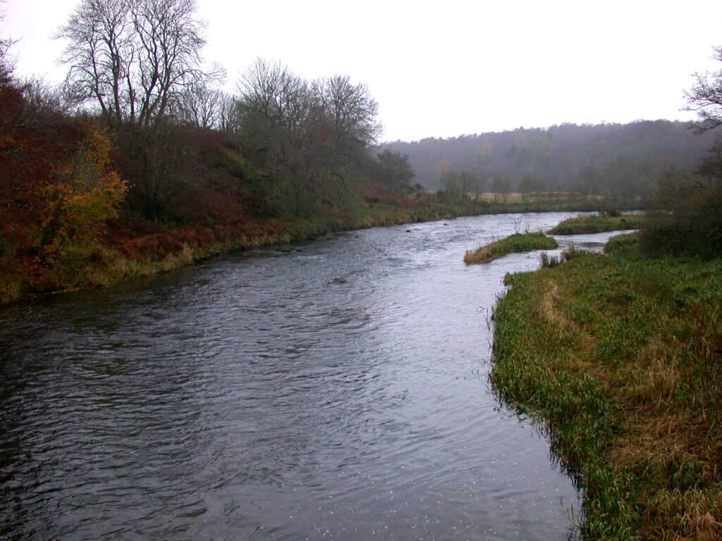 River Don Salmon Fishing