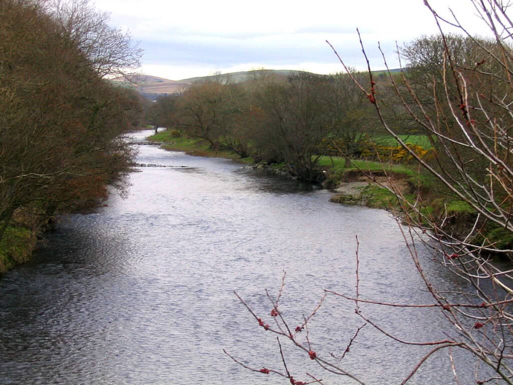 River Stinchar Salmon Fishing