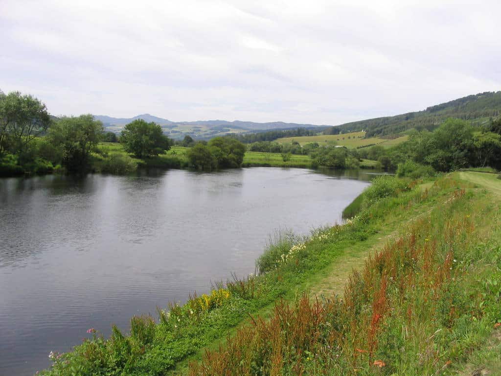 River Tay Salmon Fishing