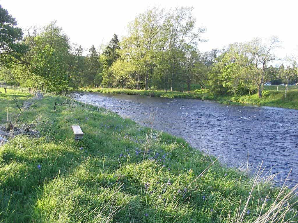 River Teith Salmon Fishing