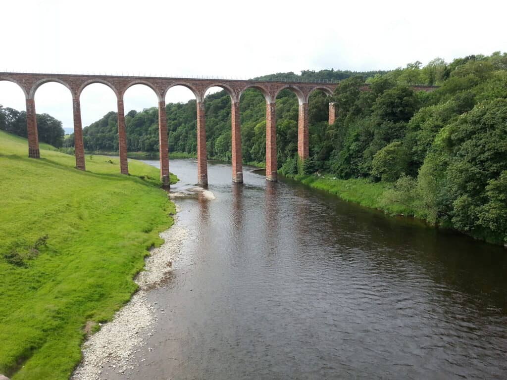 River Tweed Salmon Fishing