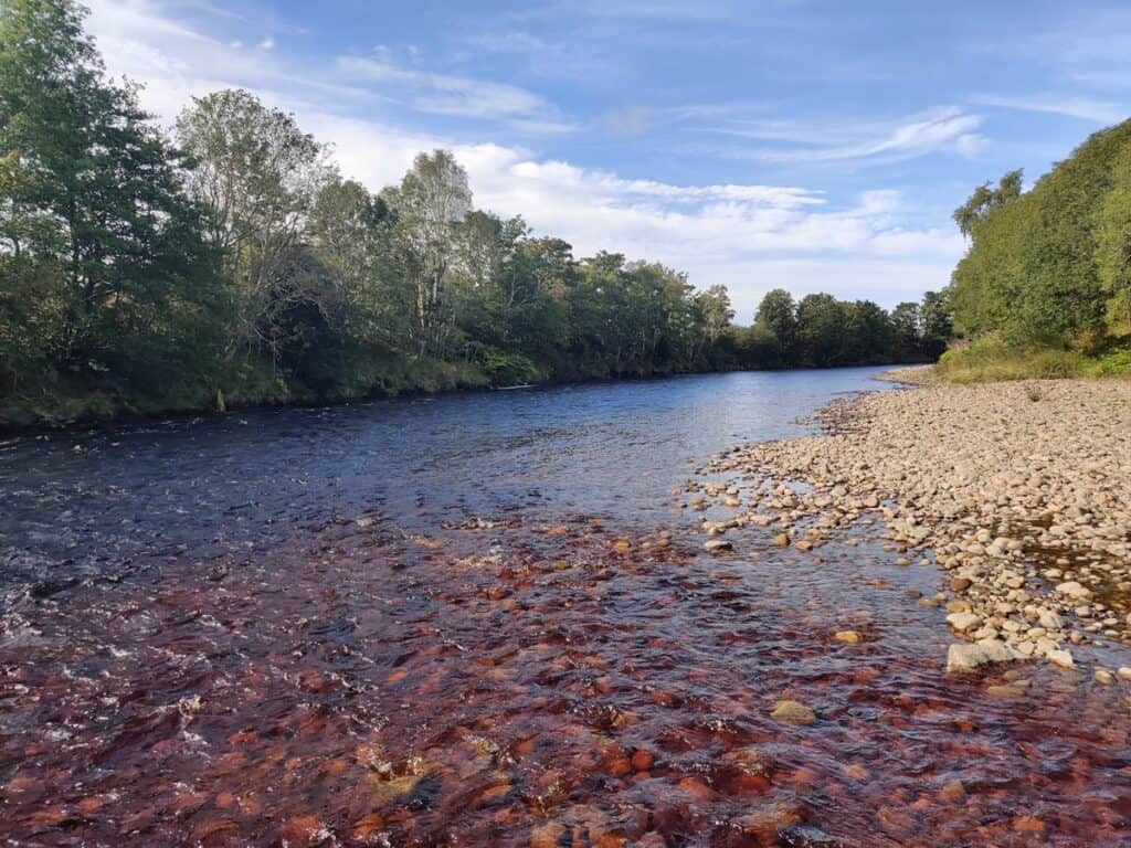 Findhorn Association Water at Forres