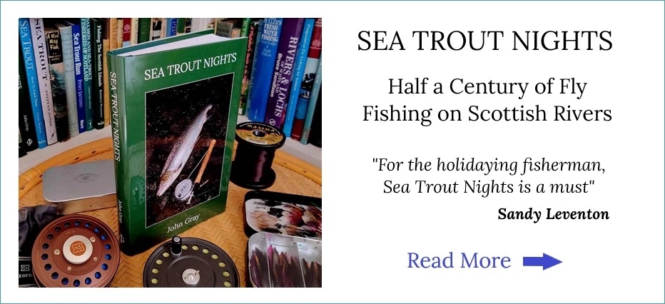 Sea Trout Nights